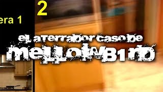 El aterrador caso de Mellowb1rd