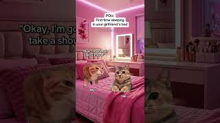 CAT MEMES 🐱First time sleeping in your girlfriend’s bed #catmemes #relatable #relationship