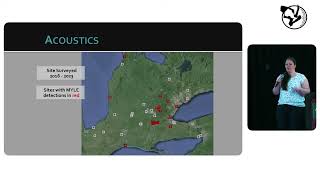 Is Eastern Small-footed myotis Taking Over Ontario? (Christy Humphrey) - OBN 2024