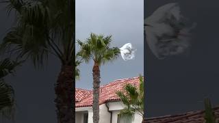 Have you ever seen a F-22 Raptor Fighter Jet Pulling a Thrust Vector? #pacificairshow #airforce