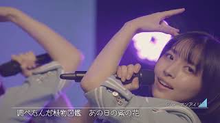 日向坂46　五期生　「ジャーマンアイリス」　5期生