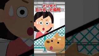 【2ch】「猫飼いたい！」と娘が一人暮らしを始めた…【アニマル】 #Shorts