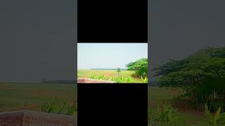 natural beauty #viralvideo #viralshort #naturalbeauty