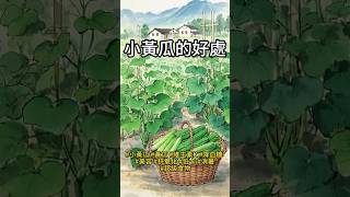 小黃瓜的好處｜#用水墨聊養生