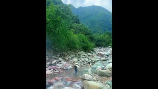 夏日炎炎，这里最凉快。 #亲近大自然的一天 #我的乡村生活 #感受大自然 #桃花冰糖李