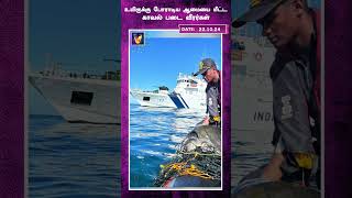 உயிருக்கு போராடிய ஆமை - மீட்ட காவல் படை வீரர்கள் | AI News VTV | AI News Reader