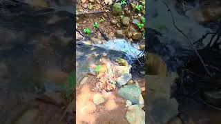 travel in mountain foothills#shorts#Youtubeshorts#Vlogs#Scenery#mountains#travel#travelvlogs