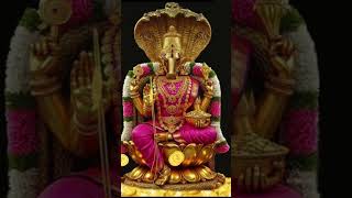 Pooja room #tamilgod #murugan #vinayagar #sivan #amman #trending