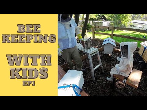 Beekeeping with Kids: Dad and Amelia Do Their First Beehive Inspection