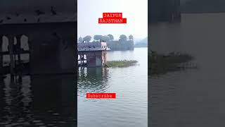 Jaipur #rajasthan #jaipur #shorts #viral #minivlog #jalmahal