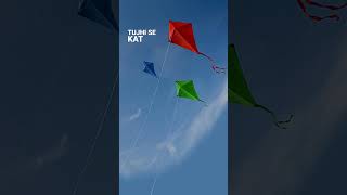 Happy makar Sankranti 🪁💞#youtubeshorts #trendingshorts #trendingshorts #india #indainsong