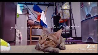 下課後的貓與小孩