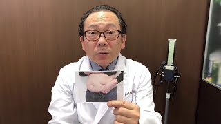メタボリックシンドロームと高脂血症