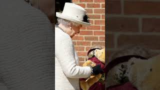 Surprise!Queen Elizabeth LOVED masterx one EASY home task turning it into her DAZZLING daily delight