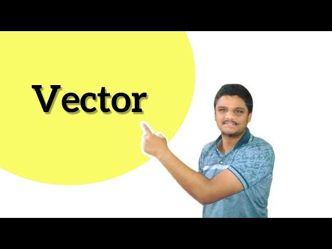 Vector | Definition | Types | C++