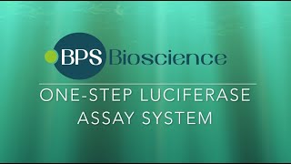 ONE-STEP Luciferase Assay System | BPS Bioscience