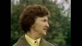 Audio AI Enhanced Old VHS tape Analogue TV of UFO witnesses of New Zealand   The Out There Channel