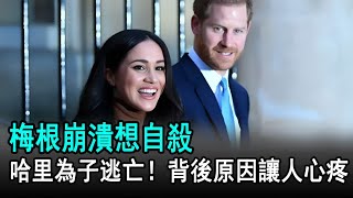 梅根崩潰想自殺，哈里為子逃亡！背後原因讓人心疼#哈里#梅根#威廉#查爾斯#凱特#戴安娜#卡米拉#夏洛特公主#路易#英國王室#娛樂星聞