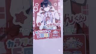 ぱらぴち参戦日vlog#からぴち #雰囲気 #推し活