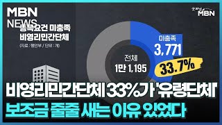 비영리민간단체 33%가 '유령단체'…보조금 줄줄 새는 이유 있었다 [굿모닝 MBN]