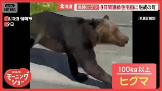 危険ヒグマ　8日連続で北海道の住宅街に　近隣住民「用事がない限り出ないように」【羽鳥慎一モーニングショー】(2025年7月17日)