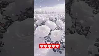 relaxing view #ASMR #relaxingview #VIEW #relaxing #AIview #mindrelaxingview🤍👍👌💓💞