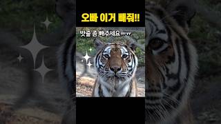 오↗빠↘ 이거↗ 껴써!!