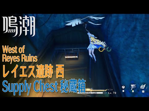 【鳴潮】秘蔵箱/リナシータ/レイエス遺跡西 [Supply Chest,West of Reyes Ruins,Riccioli Islands,Rinascita,WUWA,38727]