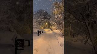 Snowing | #travel #foryou #nature #scenicview #shortsviral #reels
