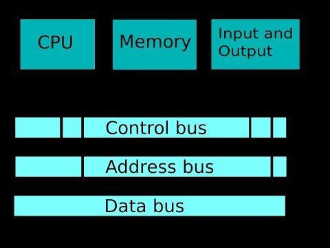 System Buses