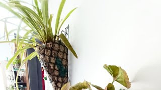 DIY Creative Plant Holder | Made from Bird's Net & Jute