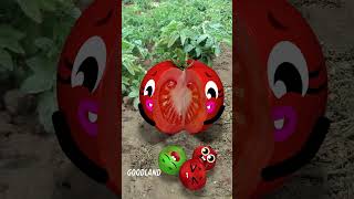 Goodland | Tomato birth in the field 😂 #doodles #animation #cartoon