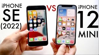 iPhone 12 Vs iPhone SE (2022) In 2025! (Comparison) (Review)