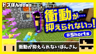 ドズクラPART87から「衝動が抑えられないぼんさん 」【ドズぼん切り抜き】#Minecraft #Shorts