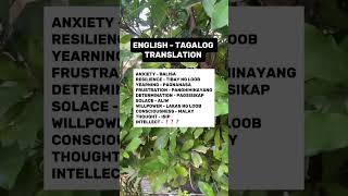 English tagalog translation #learning #translation #vocabulary #dictionary #english