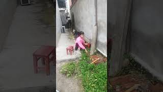 Girl with difficult life in wheelchair with disabled legs 大家上午好不能走路的我這點草啥時候才回打完感謝大家鼓勵