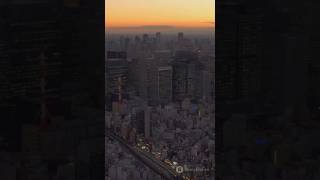 #Tokyo #TravelJapan #TokyoActivities #ExploreTokyo #TravelShorts#travel #adventure #adventureawaits