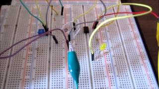 How to Build a Night Light Circuit with a LM311 Voltage Comparator