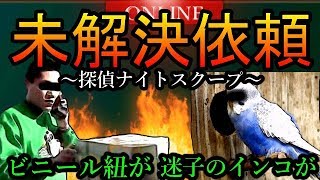【探偵ナイトスクープ】未解決で終わったトラウマ確定回『紐・インコ』など