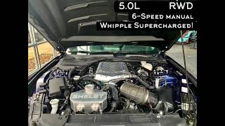 2019 Ford Mustang Shelby Super Snake🐍