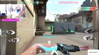 DFM Meiy