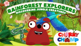 Rainforest Animal Learning Video for Preschoolers |Rainforest Explorers Discovering Jungle Creatures