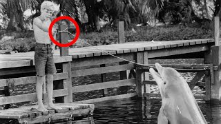 Secrets & Scandals Behind the Scenes of Flipper (1964)