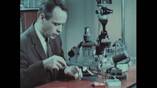 Single-Celled Animals: The Protozoa (1962)