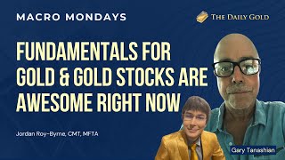Fundamentals for Gold & Gold Stocks are Awesome Right Now