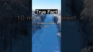 Allfacts #shorts #allfacts #truefacts