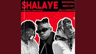Shalaye (feat. Barry Jhay & Bella Shmurda)