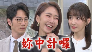 【願望】EP166 愛倫力拚生子不計任何代價 雅萱緊抓弱點耍招準備掏空財產｜完全娛樂
