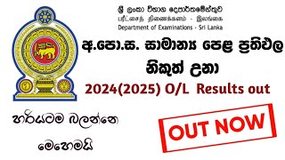 How to watch ol exam results 2024(2025) sinhala | ol results out | o/l exam results