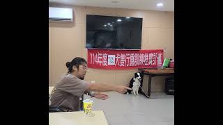 20250721_114年度犬隻行為訓練推廣計劃